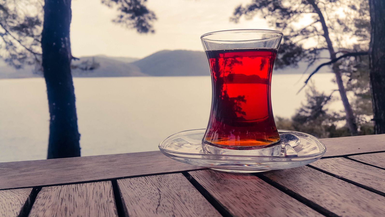 Glass of Red Tea in Nature