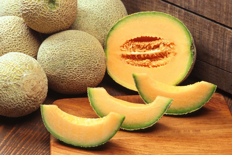 Cantaloupe Fruit Slices