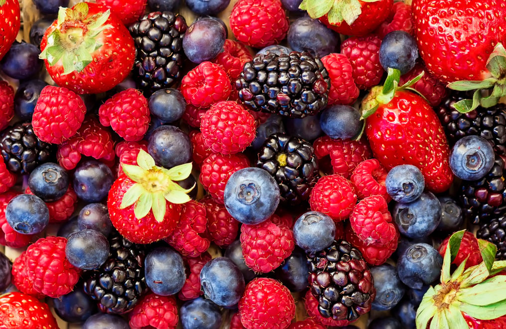 Mixed forest fruits